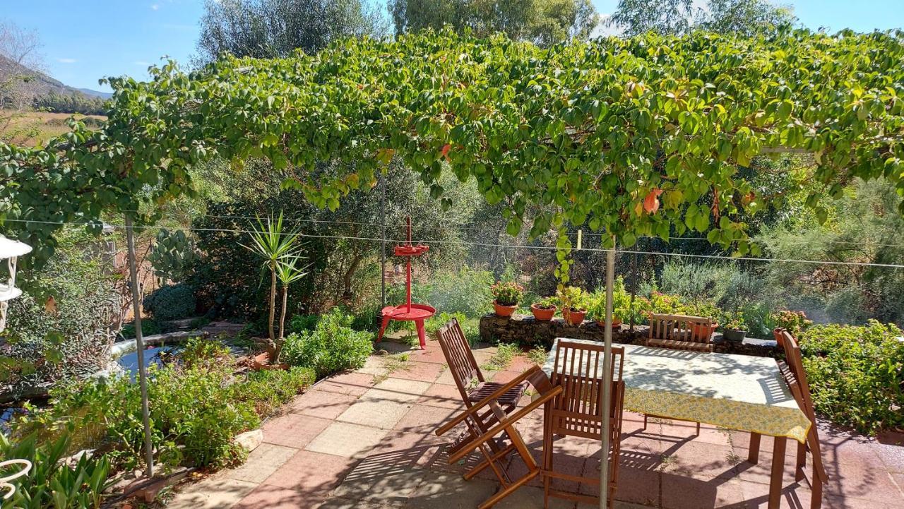 Sa Domu 'E Pisittu Apartment Iglesias Luaran gambar